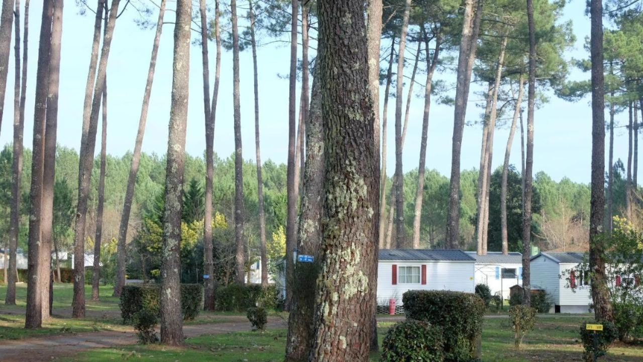 Mobil Home Rainbow, Camping Les Dunes De Contis Saint-Julien-en-Born Værelse billede